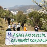 BELEDİYEDEN FİDAN DİKİM ETKİNLİĞİ ZEYTİN FİDANLARI TOPAKLA BULUŞTU