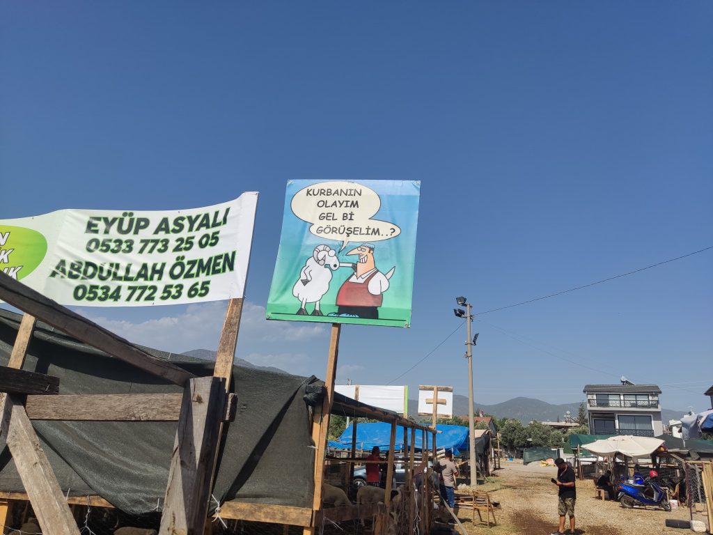 Fethiye’nin Kurban Pazarında Genç Celebi: Efe Tarık Asyalı