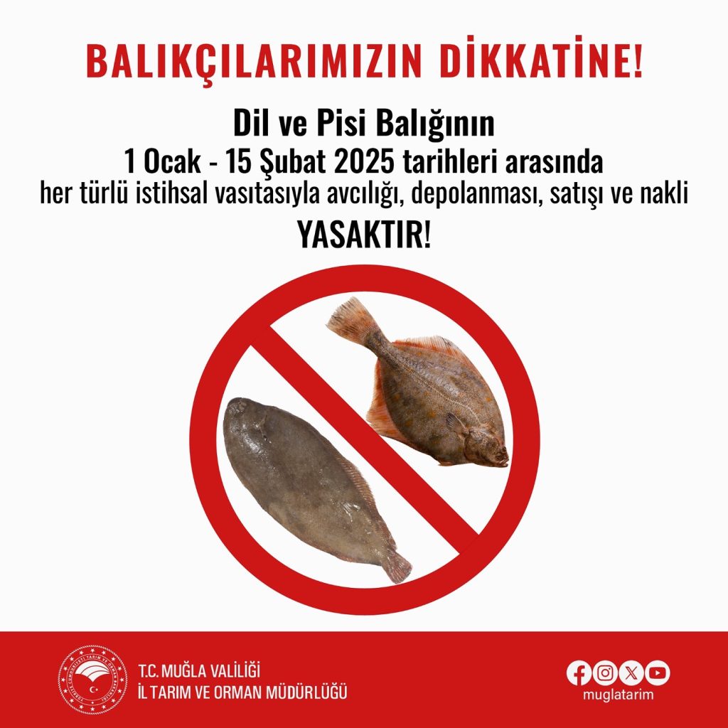 İşte Dil ve Pisi Balığı Avı Yasaklandı Haberi