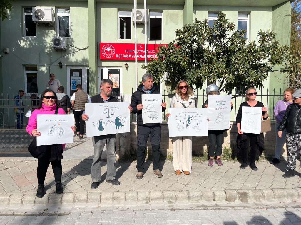 İşte Fethiye’de Hayvanseverlerden Basın Açıklaması Haberi