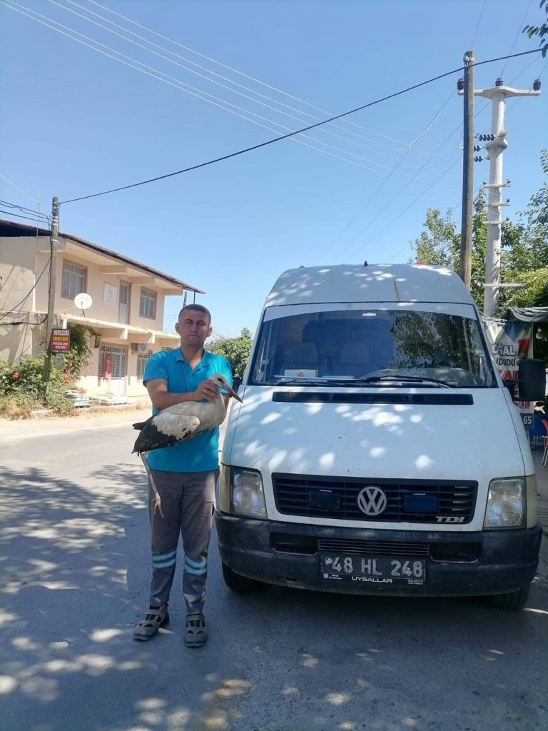 İşte Seydikemer’de Yaralı Leylek Gençlerin Duyarlılığıyla Kurtuldu Haberi