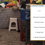 İşte Fethiye’de Çıntar Toplayacakları Yakından İlgilendiren Haber haberi