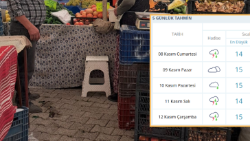 İşte Fethiye’de Çıntar Toplayacakları Yakından İlgilendiren Haber haberi