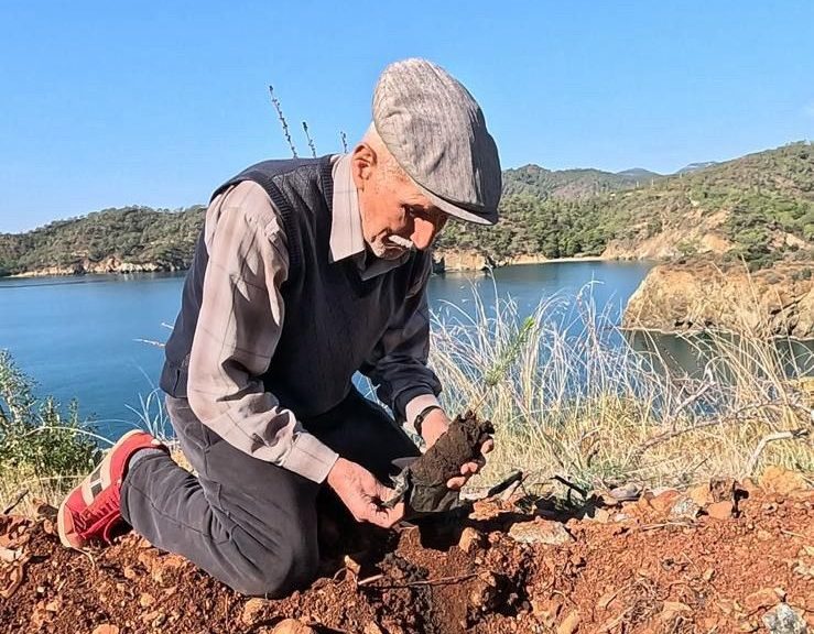 İşte Yangın Bölgesi Yeniden Yeşeriyor! haberi