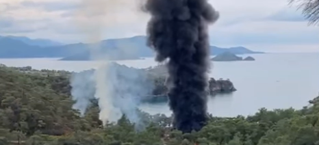 İşte Yangın Ormana Sıçradı haberi