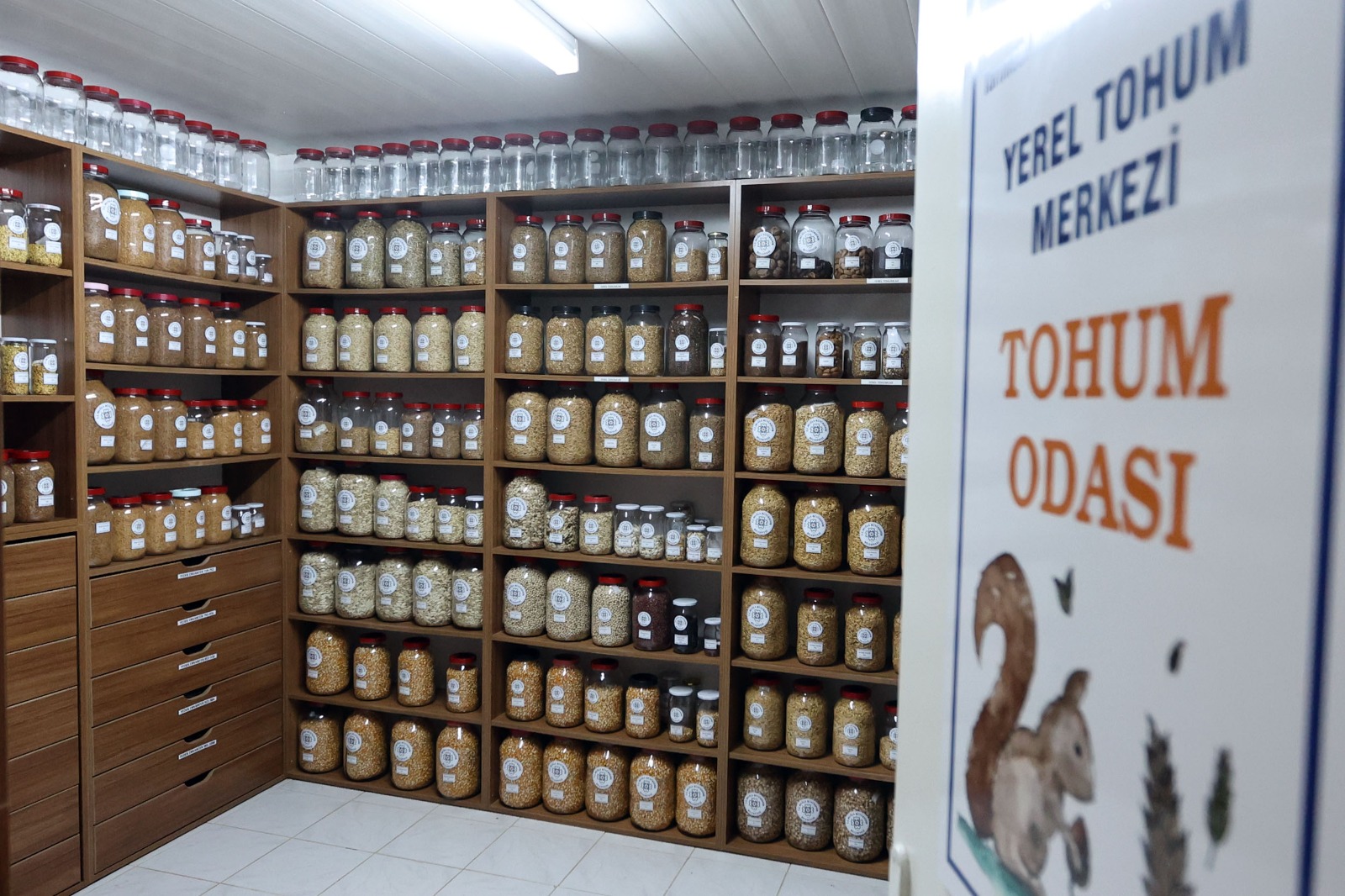 İşte Büyükşehir Yerel Tohum Merkezi’nden 81 İle 22 Milyon Yerel Tohum Desteği haberi