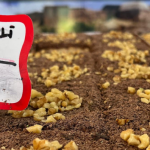 İşte Anteplioğlu Tatlı Dünyası’ndan Ramazan Sofralarına Yakışan Kadayıf Çeşitleri haberi
