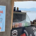 Fethiye’de Balon Balığı Uyarısı: Afişlerle Bilgilendirme Yapıldı