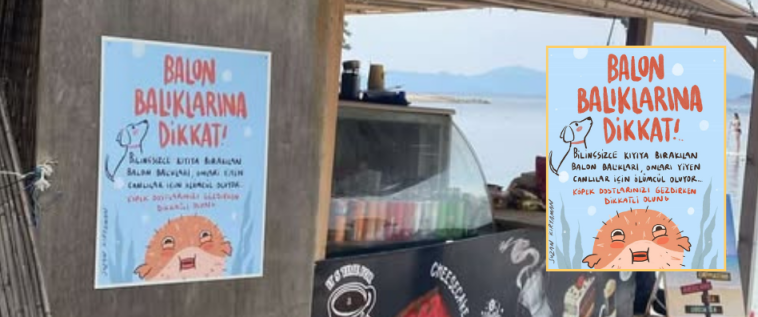 Fethiye’de Balon Balığı Uyarısı: Afişlerle Bilgilendirme Yapıldı