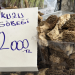 Fethiye’nin Doğasında Bedava, Pazar Tezgahında 2 Bin TL!