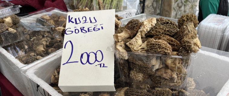 Fethiye’nin Doğasında Bedava, Pazar Tezgahında 2 Bin TL!