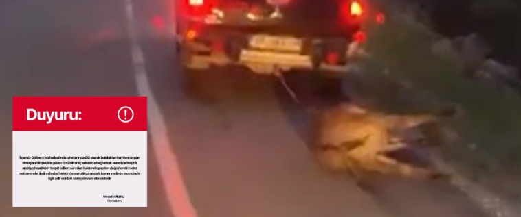 Seydikemer Kaymakamlığı’ndan Gölbent Olayı Açıklaması: Hayvanın Ölü Olduğu Belirtildi